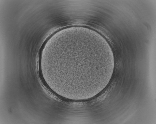 X0000111001126200907101446