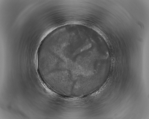 X0000111001127200907101446