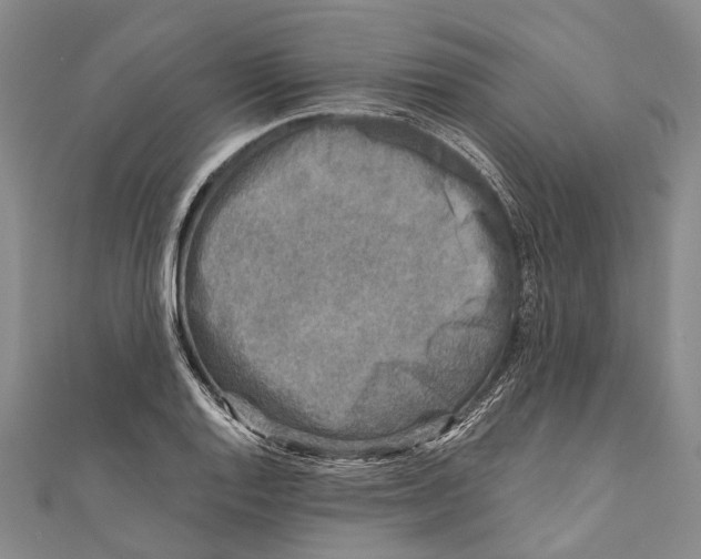 X0000111001128200907101446