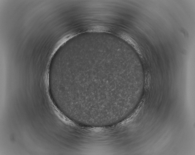 X0000111001130200907101446