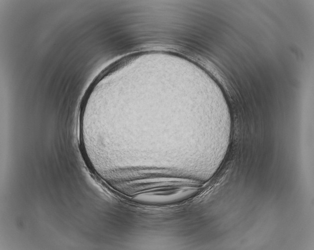 X0000111001132200907101446