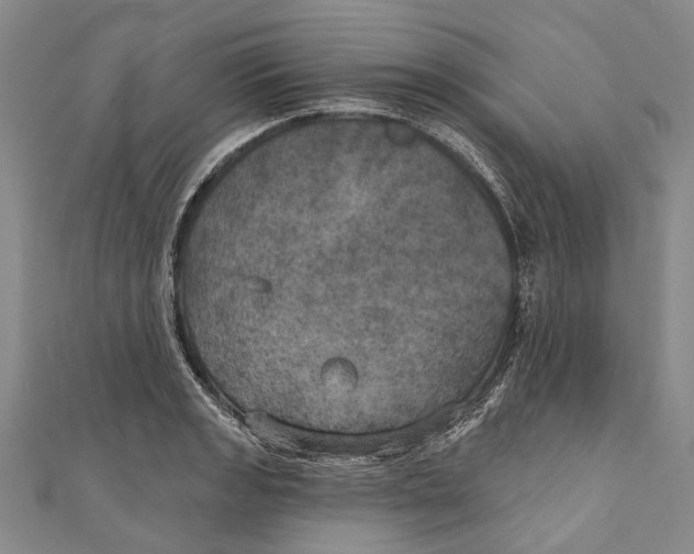 X0000111001133200907101446