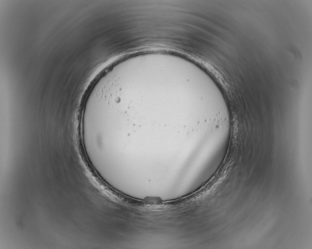 X0000111001134200907101446