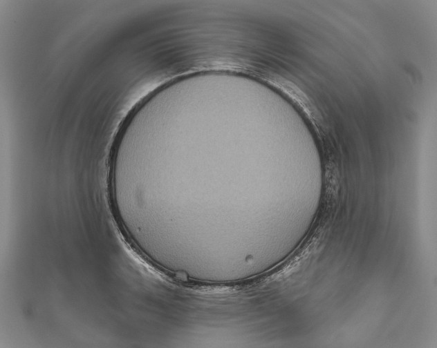 X0000111001135200907101446