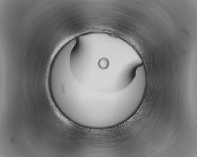 X0000111001136200907101446