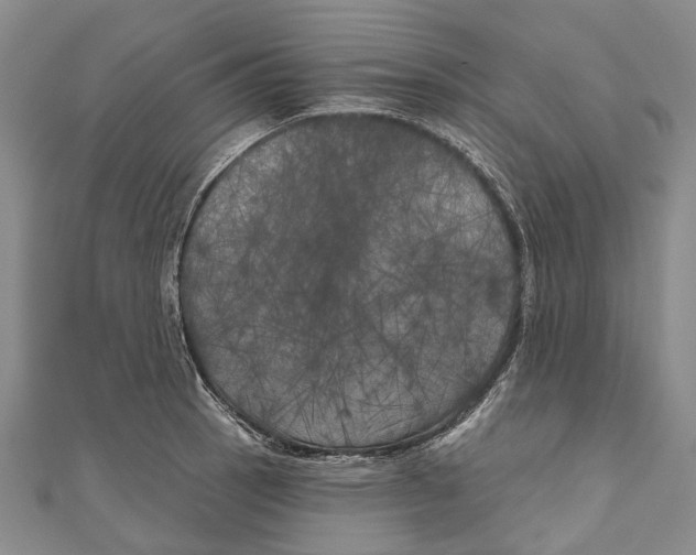 X0000111001137200907101446