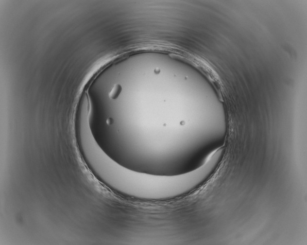 X0000111001138200907101446