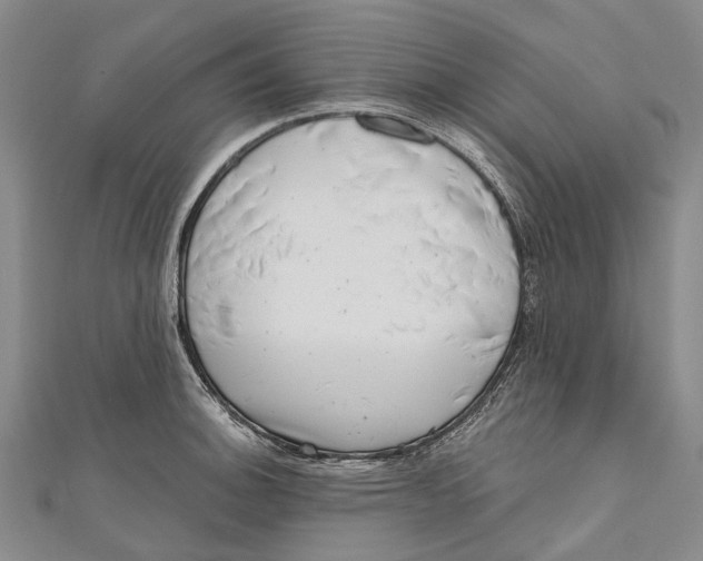 X0000111001140200907101446