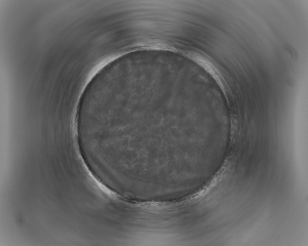 X0000111001141200907101446