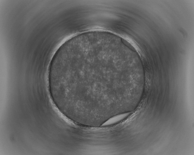 X0000111001142200907101446