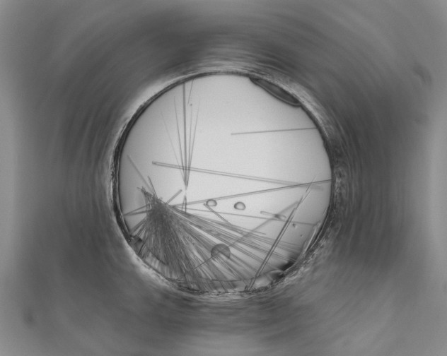 X0000111001143200907101446