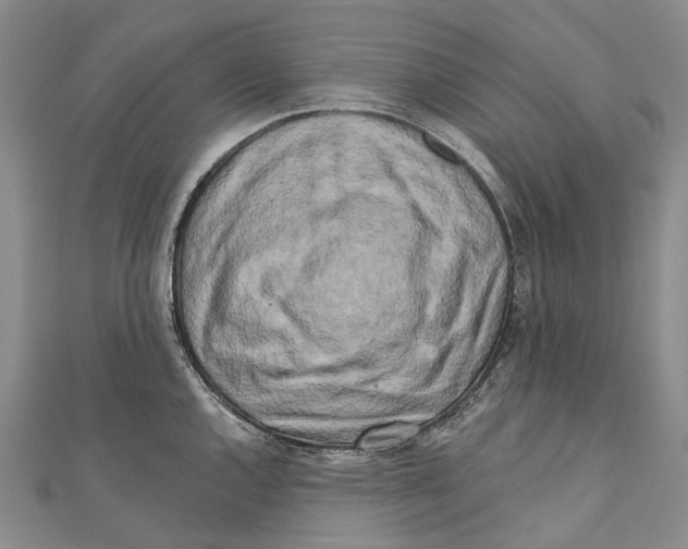 X0000111001144200907101446