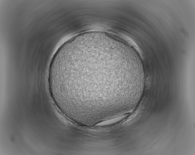 X0000111001146200907101446