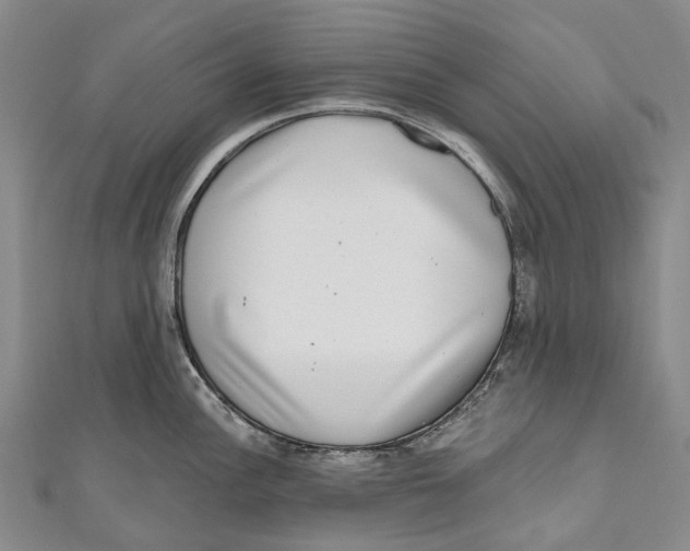 X0000111001148200907101446