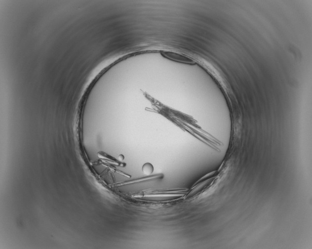 X0000111001149200907101446