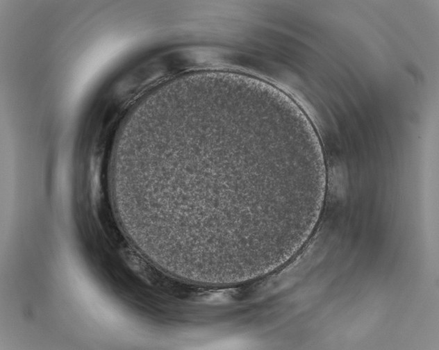 X0000111001150200907101446