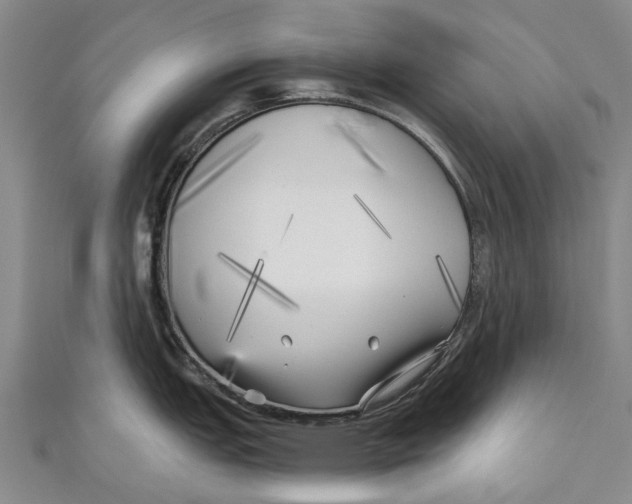 X0000111001151200907101446