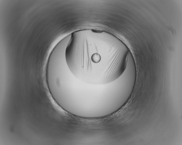 X0000111001152200907101446