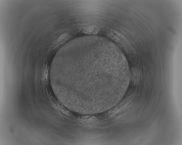 X0000111001154200907101446