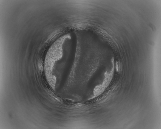 X0000111001155200907101446