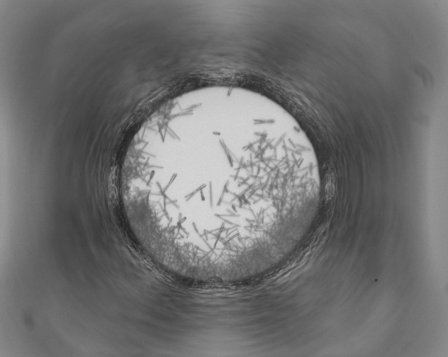 X0000111001156200907101446