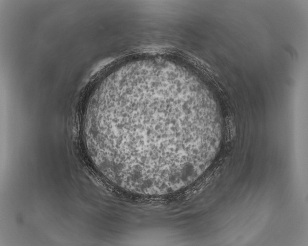 X0000111001158200907101446