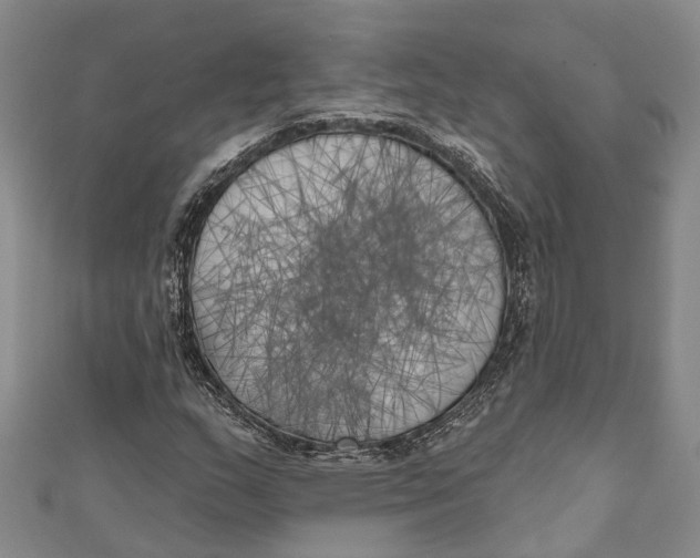 X0000111001159200907101446