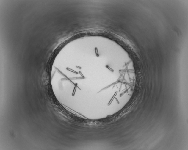 X0000111001160200907101445