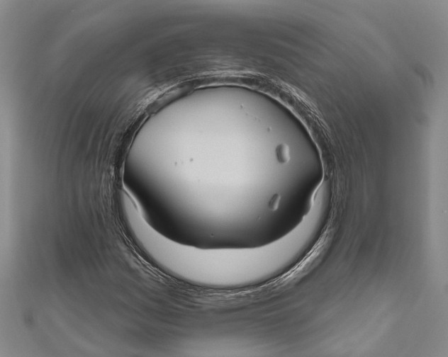 X0000111001161200907101445