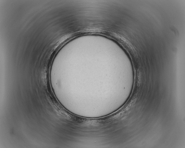 X0000111001162200907101445