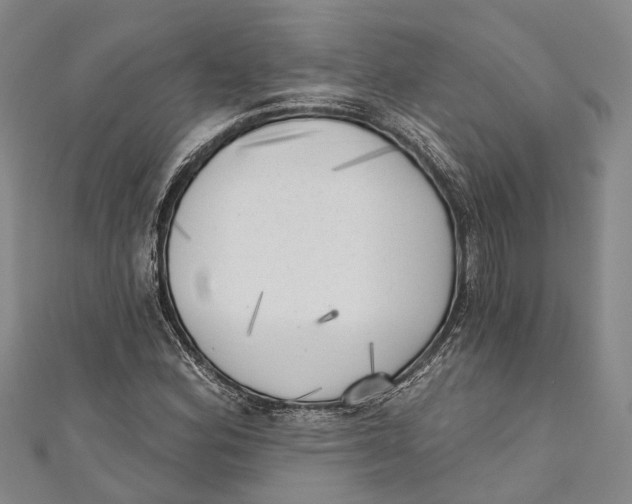 X0000111001164200907101445