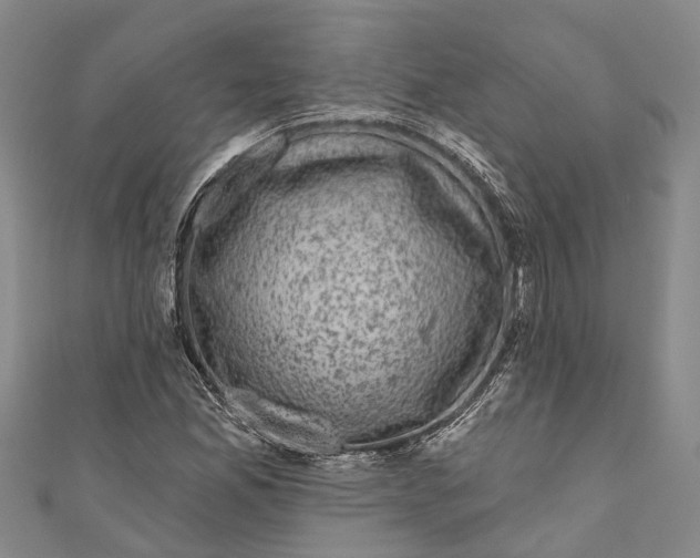 X0000111001165200907101445