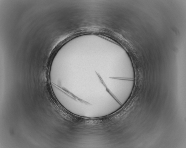 X0000111001166200907101445