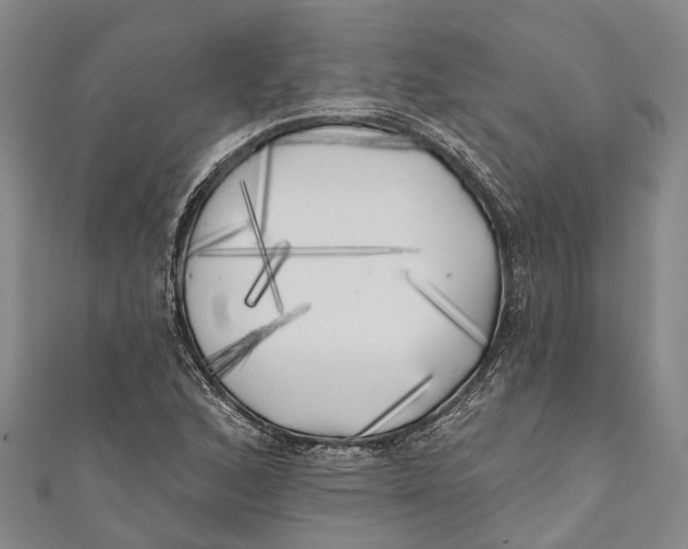 X0000111001168200907101445