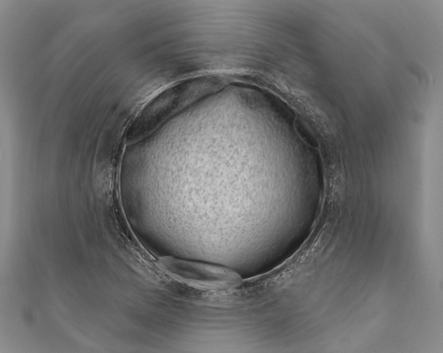 X0000111001169200907101445