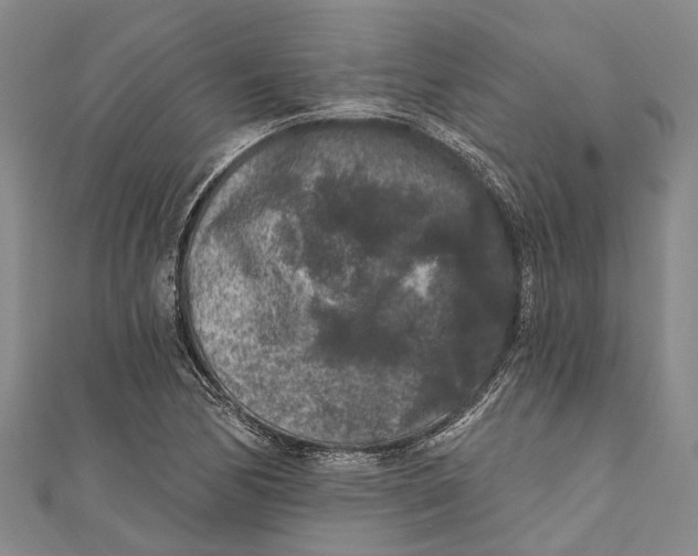 X0000111001170200907101445