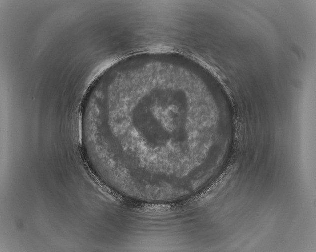 X0000111001171200907101445