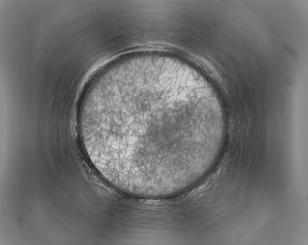 X0000111001172200907101445