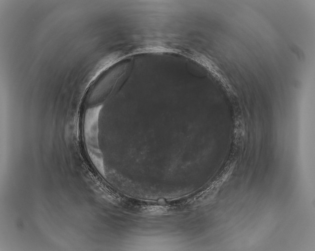 X0000111001173200907101445