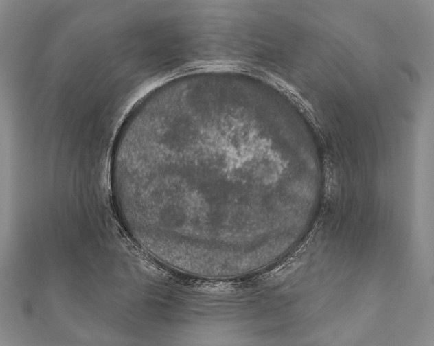 X0000111001174200907101445