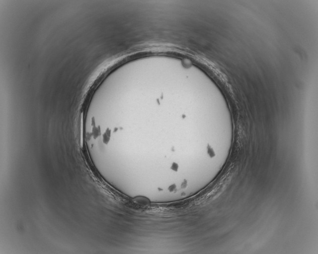 X0000111001175200907101445