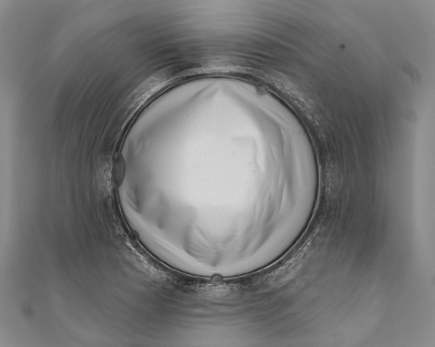 X0000111001177200907101445