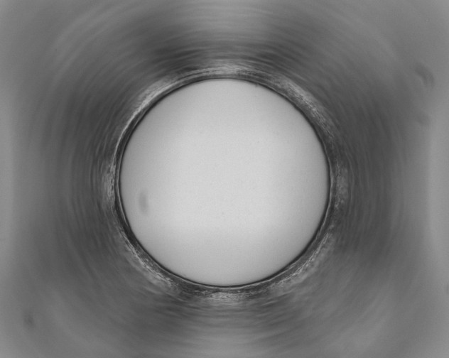 X0000111001178200907101445