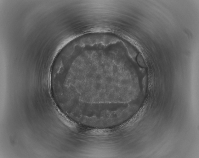 X0000111001179200907101445