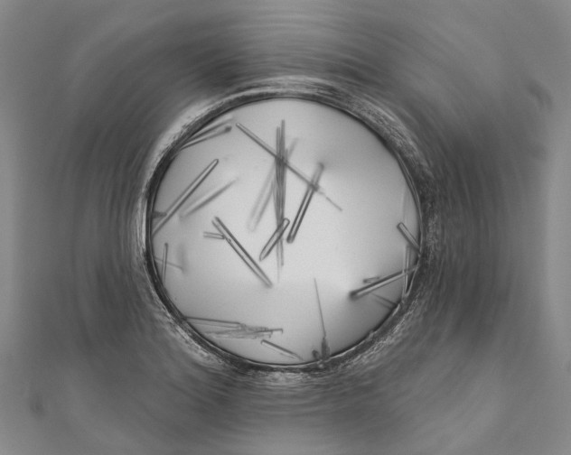 X0000111001180200907101445