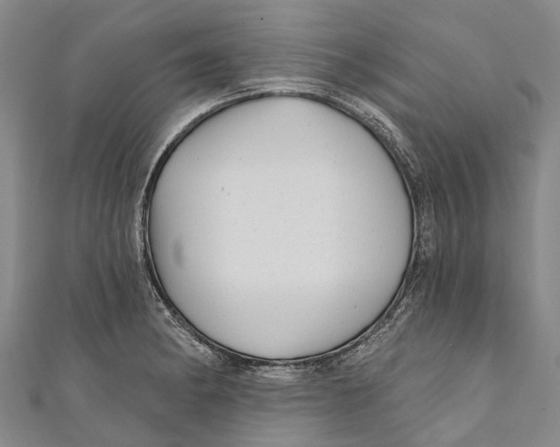 X0000111001182200907101445