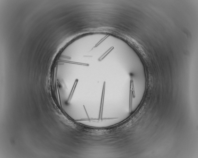 X0000111001184200907101445