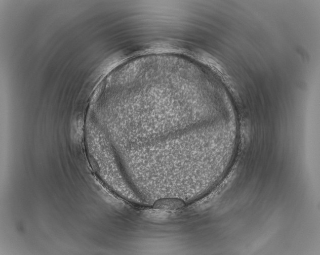 X0000111001185200907101445