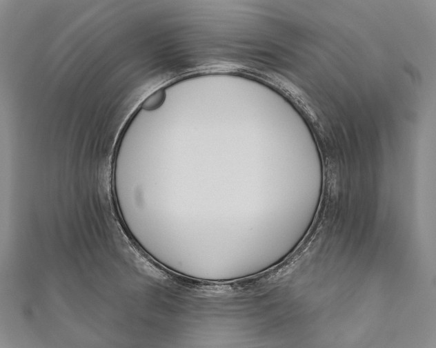 X0000111001186200907101445