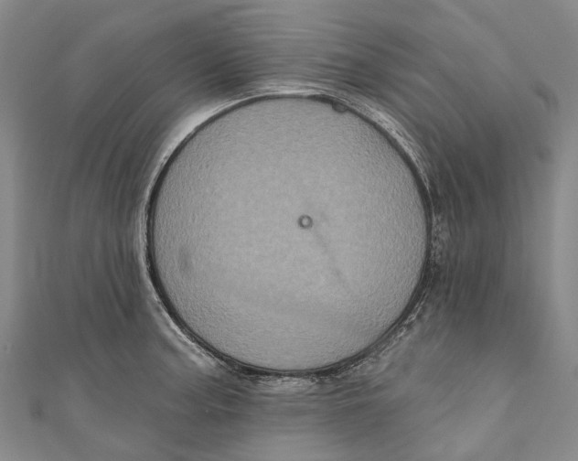 X0000111001187200907101445